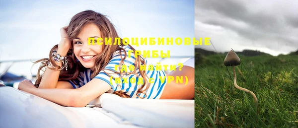 хмурый Покров