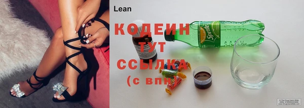 хмурый Покров