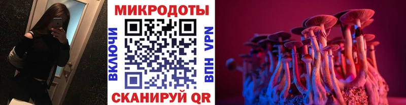 Псилоцибиновые грибы MAGIC MUSHROOMS  Богданович 