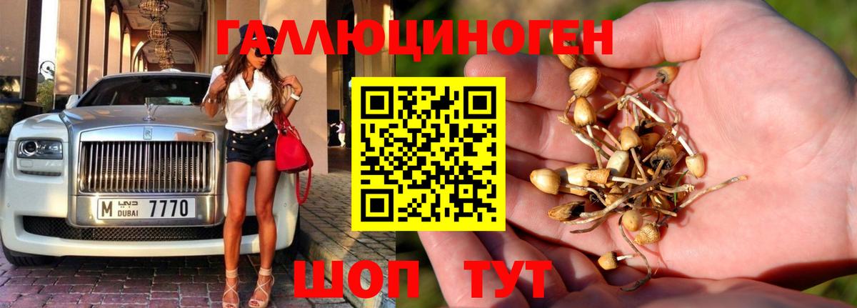 купить   Галлюциногенные грибы ЛСД  Вход с VPN  Богданович  Псилоцибиновые грибы Psilocybe 